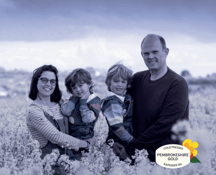 Pembrokeshire gold rapeseed oil
